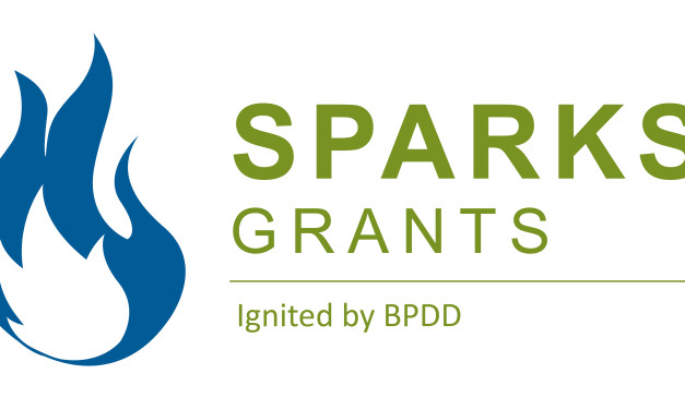 SPARKS Grantees Announced