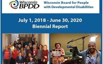 WI BPDD Biennial Report 2018-2020