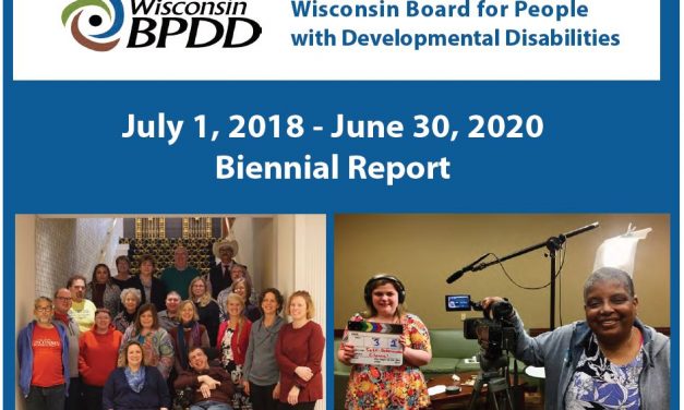 WI BPDD Biennial Report 2018-2020