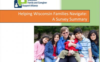Helping Wisconsin Families Navigate: A Survey Summary